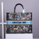 Dior Large Book Tote Bag In Blue D-Constellation Embroidery