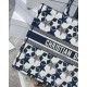 Dior Large Book Tote Bag In Blue and White Dior Etoile Embroidery