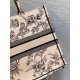 Dior Large Book Tote Bag In Powder Pink Jardin Botanique Embroidery