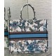 Dior Large Book Tote Bag in White and Blue Toile de Jouy Mexico Embroidery