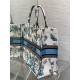 Dior Large Book Tote Bag in White and Blue Toile de Jouy Mexico Embroidery