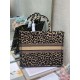 Dior Large Book Tote Bag In Beige Multicolor Mizza Embroidery