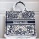 Dior Large Book Tote Bag In Around The World Embroidered Canvas