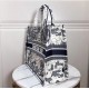 Dior Large Book Tote Bag In Around The World Embroidered Canvas