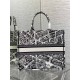 Dior Large Book Tote Bag In White Plan de Paris Embroidery