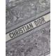 Dior Large Book Tote Bag In Gray Toile de Jouy Reverse Embroidery