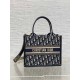 Dior Small Book Tote Bag with Strap in Blue Dior Oblique Canvas