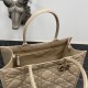 Dior Medium Book Tote Bag with Strap in Beige Macrocannage Calfskin