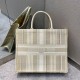 Dior Large Book Tote Bag In Beige Stripes Embroidery