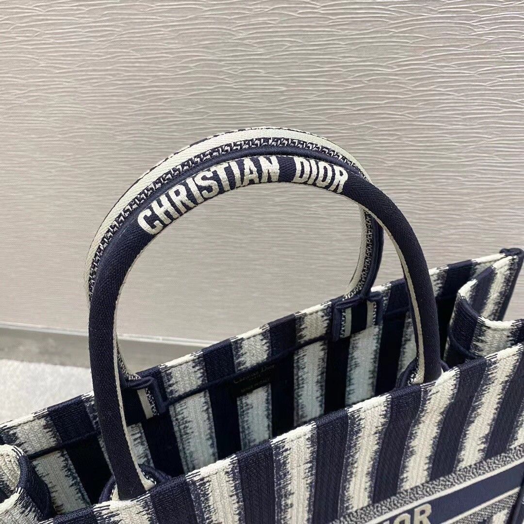 Dior Large Book Tote Bag In Blue Stripes Embroidery