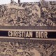 Dior Large Book Tote Bag In Blue Toile de Jouy Embroidery