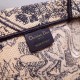 Dior Large Book Tote Bag In Blue Toile de Jouy Embroidery