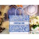 Dior Large Book Tote Bag In Blue Transparent Toile de Jouy Canvas