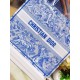 Dior Large Book Tote Bag In Blue Transparent Toile de Jouy Canvas