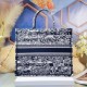 Dior Large Book Tote Bag In Blue Toile de Jouy Stripes Embroidery