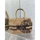 Dior Small Catherine Tote Bag In Beige Jute Canvas with Union Motif