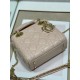 Dior Lady Dior Mini Bag with Chain in Powder Cannage Lambskin