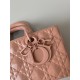 Dior Lady D-Joy Medium Bag In Nude Calfskin with Diamond Motif