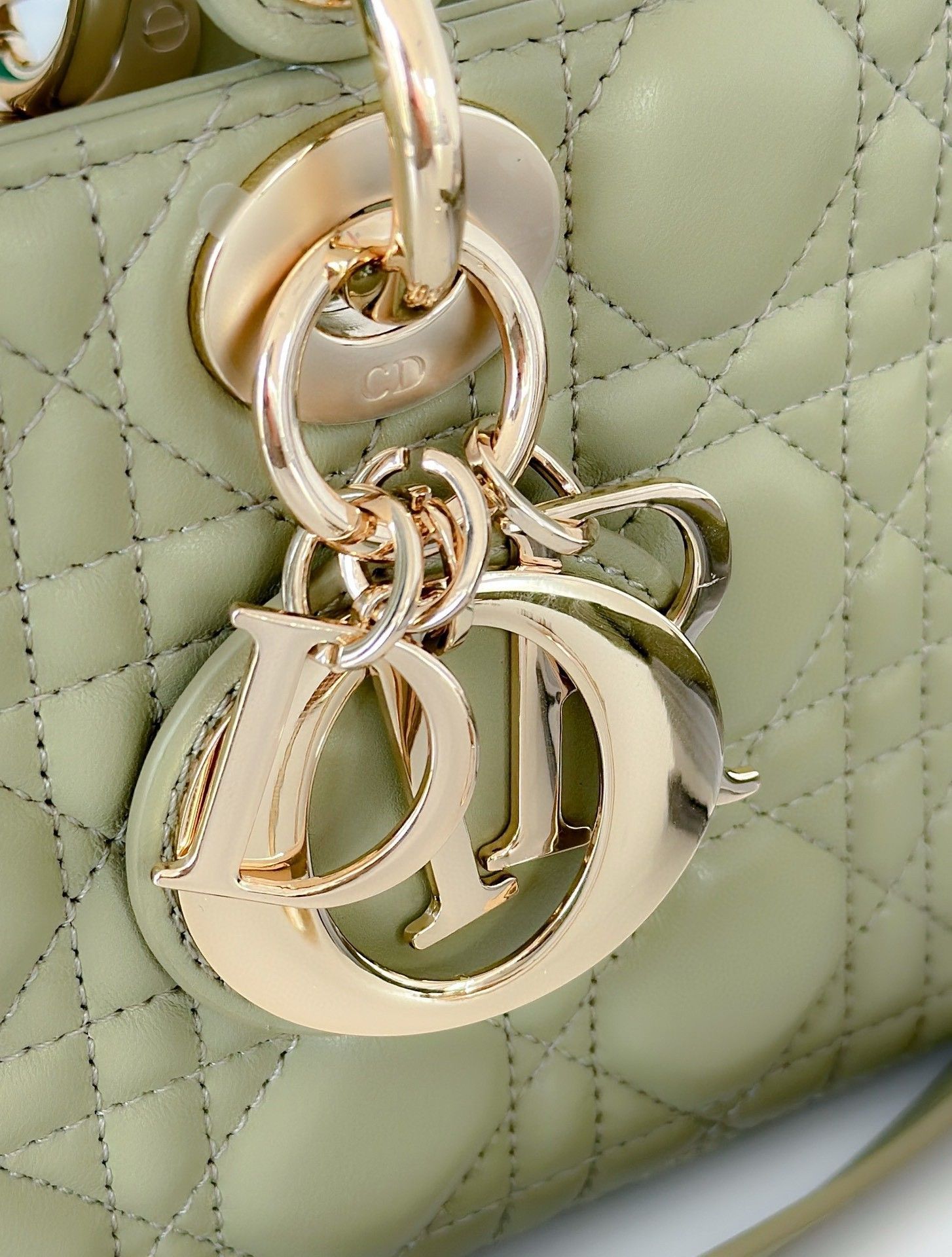 Dior Lady D-Joy Medium Bag In Ethereal Green Cannage Lambskin