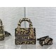 Dior Lady D-Lite Mini Bag In Beige Multicolor Mizza Embroidery