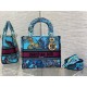 Dior Lady D-Lite Medium Bag In Multicolor Toile de Jouy Voyage Embroidery