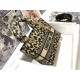 Dior Lady D-Lite Medium Bag In Beige Multicolor Mizza Embroidery