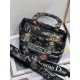 Dior Lady D-Lite Medium Bag In Black Jardin Botanique Embroidery