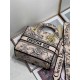 Dior Lady D-Lite Medium Bag In Powder Jardin Botanique Embroidery