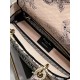 Dior Lady D-Lite Medium Bag In Powder Jardin Botanique Embroidery