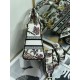 Dior Lady D-Lite Medium Bag In White Jardin Botanique Embroidery