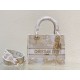 Dior Lady D-Lite Medium Bag In Gold Jardin d'Hiver Embroidery