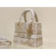 Dior Lady D-Lite Medium Bag In Gold Jardin d'Hiver Embroidery