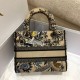 Dior Lady D-Lite Medium Bag In Beige Jardin d'Hiver Embroidery