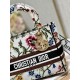 Dior Lady D-Lite Medium Bag In White Dior Petites Fleurs Embroidery