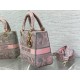 Dior Lady D-Lite Medium Bag in Grey and Pink Toile de Jouy Reverse Embroidery