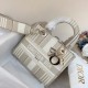 Dior Lady D-Lite Medium Bag In Beige Stripes Embroidery