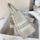 Dior Lady D-Lite Medium Bag In Beige Stripes Embroidery