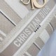 Dior Lady D-Lite Medium Bag In Beige Stripes Embroidery