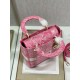 Dior Lady D-Lite Medium Bag In Fluorescent Pink Toile de Jouy Reverse Embroidery