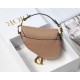 Dior Saddle Micro Bag In Powder Goatskin