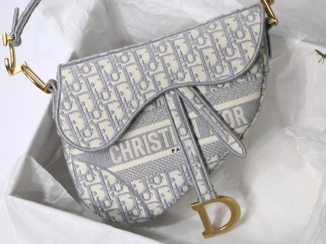 Dior Saddle Bag In Grey Dior Oblique Embroidery