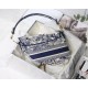 Dior Saddle Bag In Blue Toile de Jouy Embroidery