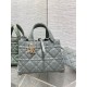 Dior Toujours Medium Bag in Beige Macrocannage Calfskin