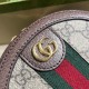 Gucci Ophidia Mini Chain Bag Beige And Ebony Supreme