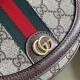 Gucci Ophidia Mini Gg Shoulder Bag Beige And Ebony Supreme