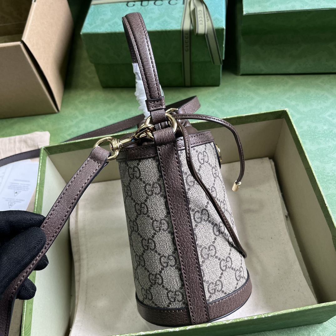 Gucci Ophidia Mini Bucket Bag Beige And Ebony Supreme