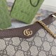 Gucci Ophidia Mini Bag Beige And Ebony Supreme