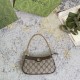 Gucci Ophidia Mini Bag Beige And Ebony Supreme