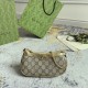 Gucci Ophidia Mini Bag Beige And Ebony Supreme