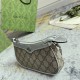 Gucci Ophidia Mini Bag Beige And Ebony Supreme